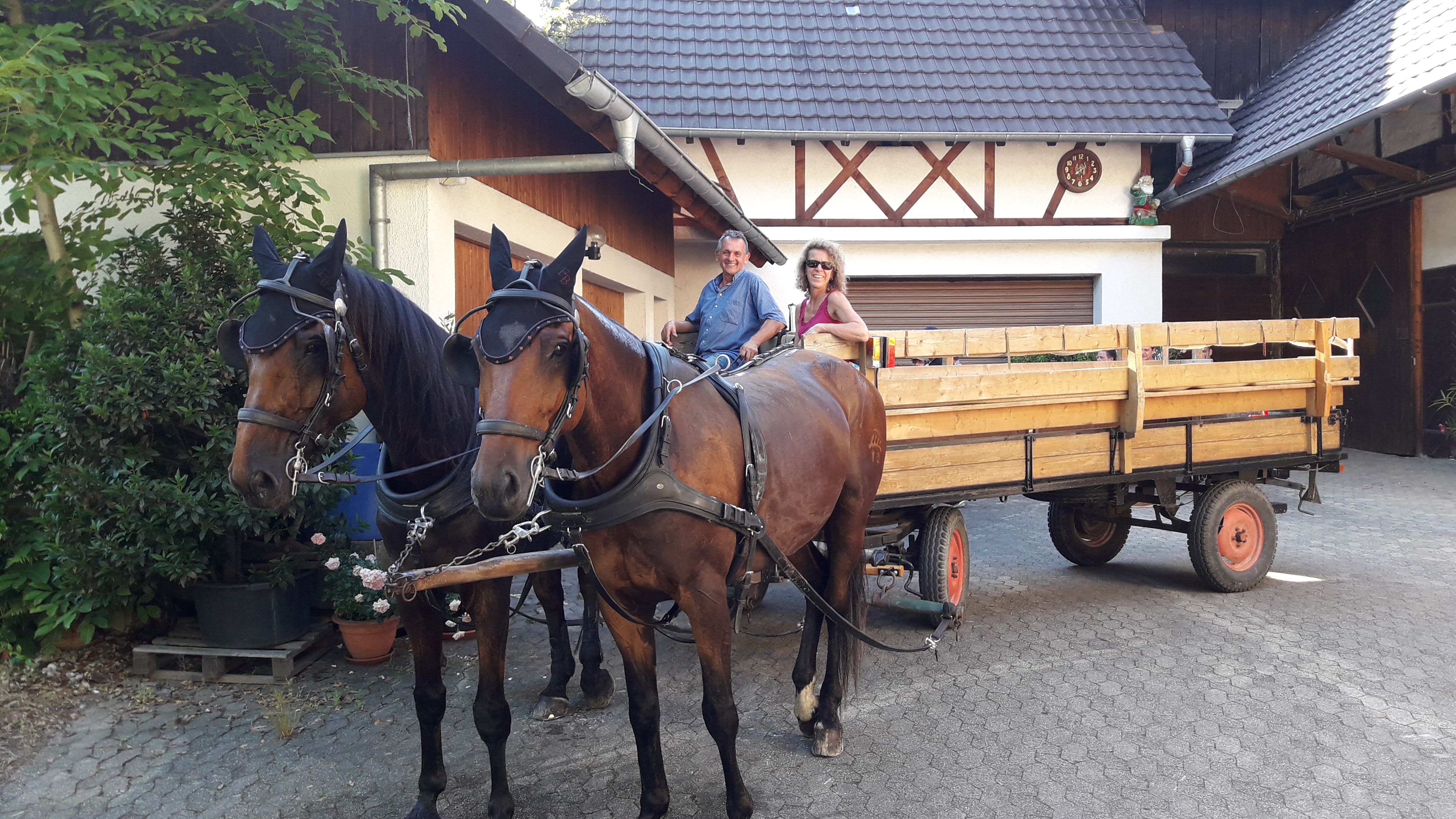 Weinprobe auf der Pferdekutsche