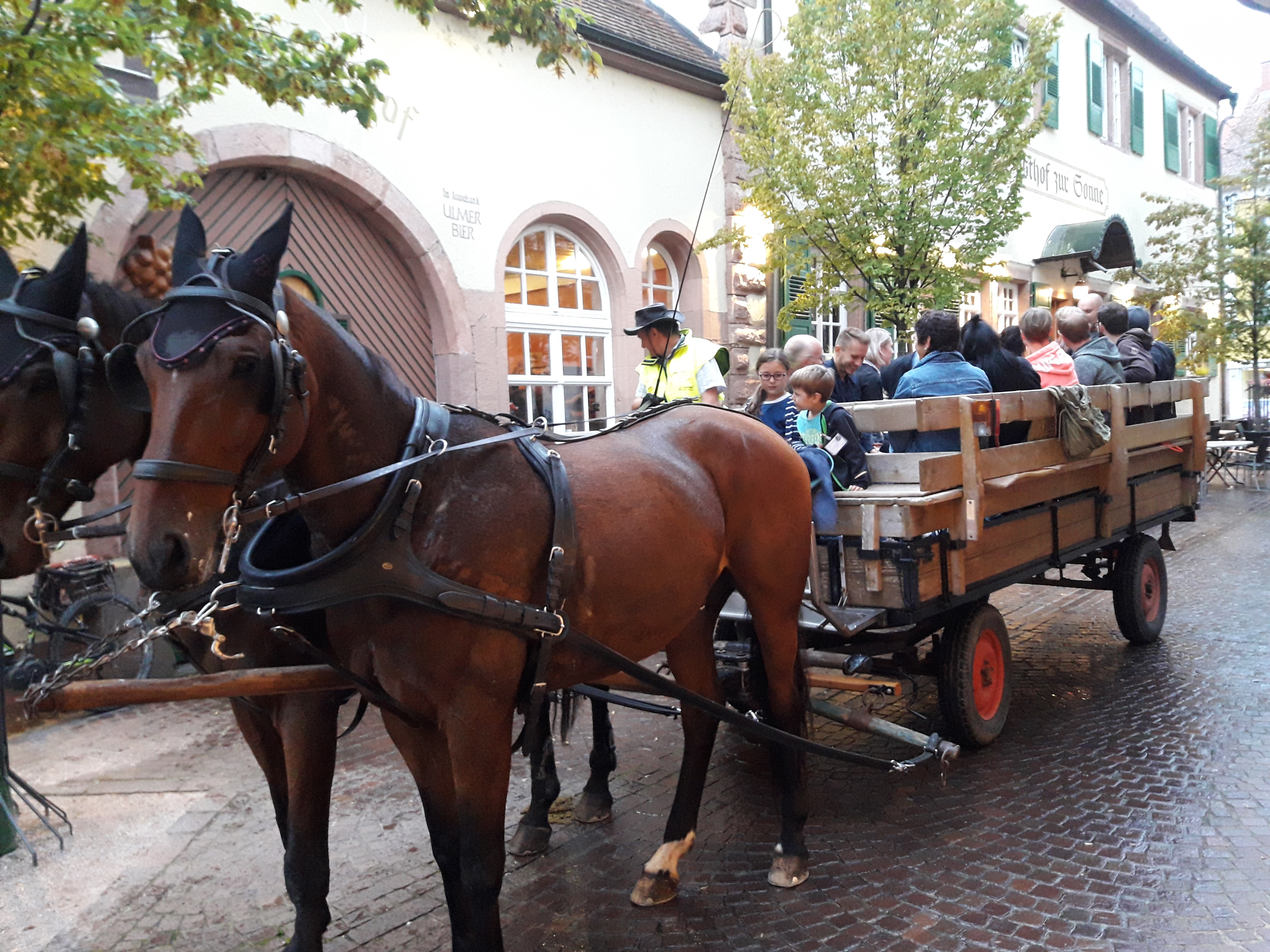 Weinprobe auf der Pferdekutsche