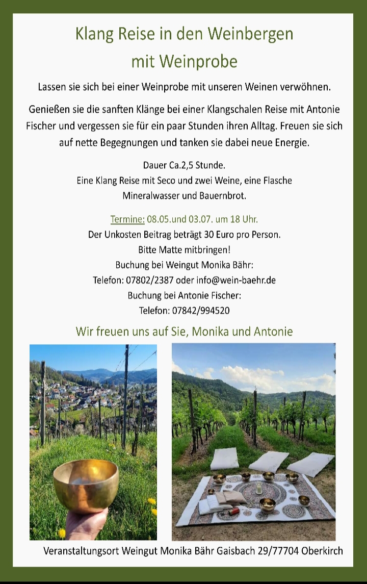 Klangreise im Weinberg mit Weinprobe
